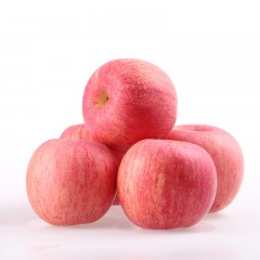 新鲜洛川苹果 当季水果陕西洛川红富士苹果精选10斤装现发包邮