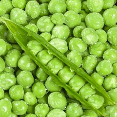 豌豆荚新鲜青豆带壳蔬菜农家包邮嫩甜四角豆油豆带壳鲜榨5斤