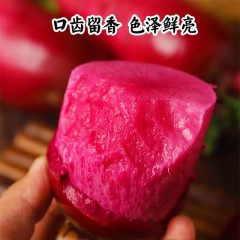 凤梨萝卜紫美人水果萝卜非潍坊潍县沙窝紫皮红心萝卜新鲜蔬菜5斤