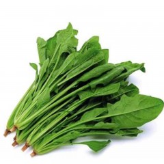 新鲜菠菜 大叶红根矮杆菠菜农家自种蔬菜现摘现发带箱5斤