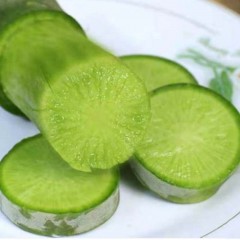 萝卜10斤新鲜蔬菜潍县青皮萝卜脆甜包邮特产农家