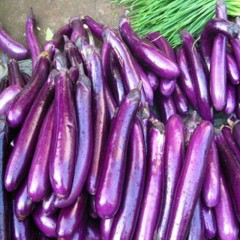 2020年山东新鲜蔬菜山东长茄子时令蔬菜农家蔬菜紫茄子5斤包邮