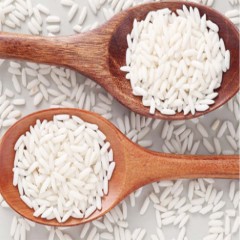 新米农家做酿酒原料糯米香白粘米糯米籼糯白糯米