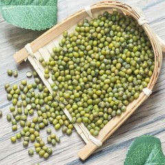 2019年新货新绿豆5斤五谷杂粮批發新鲜小绿豆粥农家自产豆芽材料