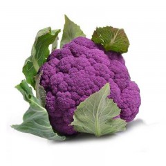 进口有机三色菜花种子紫菜花黄花菜花椰菜西兰花阳台蔬菜种子四季