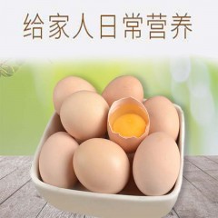 正宗土鸡蛋农家散养新鲜纯农村自养天然40枚草鸡蛋柴鸡蛋本笨鸡蛋
