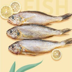 顺丰出口新鲜黄花鱼野生海捕小黄鱼鲜冻海鲜鲜活烧烤冷冻黄鱼5斤