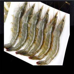 大虾鲜活速冻海鲜特大青虾新鲜海虾非青岛大虾白虾鲜活