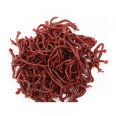 蚯蚓假饵假鱼饵通钓红虫草罗非路亚饵鲮鱼蚯蚓鲫鲤假虫钓饵仿生小