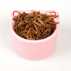 仓鼠粮刺猬面包虫干黄粉虫仓鼠粮食仓鼠用品乌龟粮零食