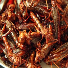 新鲜油炸蚂蚱即食香辣蝗虫零食麻辣昆虫椒盐蚱蜢养殖虫子美食小吃