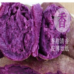 山东紫薯新鲜地瓜农家现挖软糯蜜板栗10斤山芋小番薯蔬菜红紫心薯