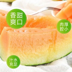 新疆哈密瓜新鲜水果10斤一箱当季吐鲁番网纹瓜香瓜甜蜜瓜整箱包邮