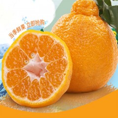 不知火真丑橘当季水果橘子丑柑桔子柑橘丑八怪包邮净重5斤10斤